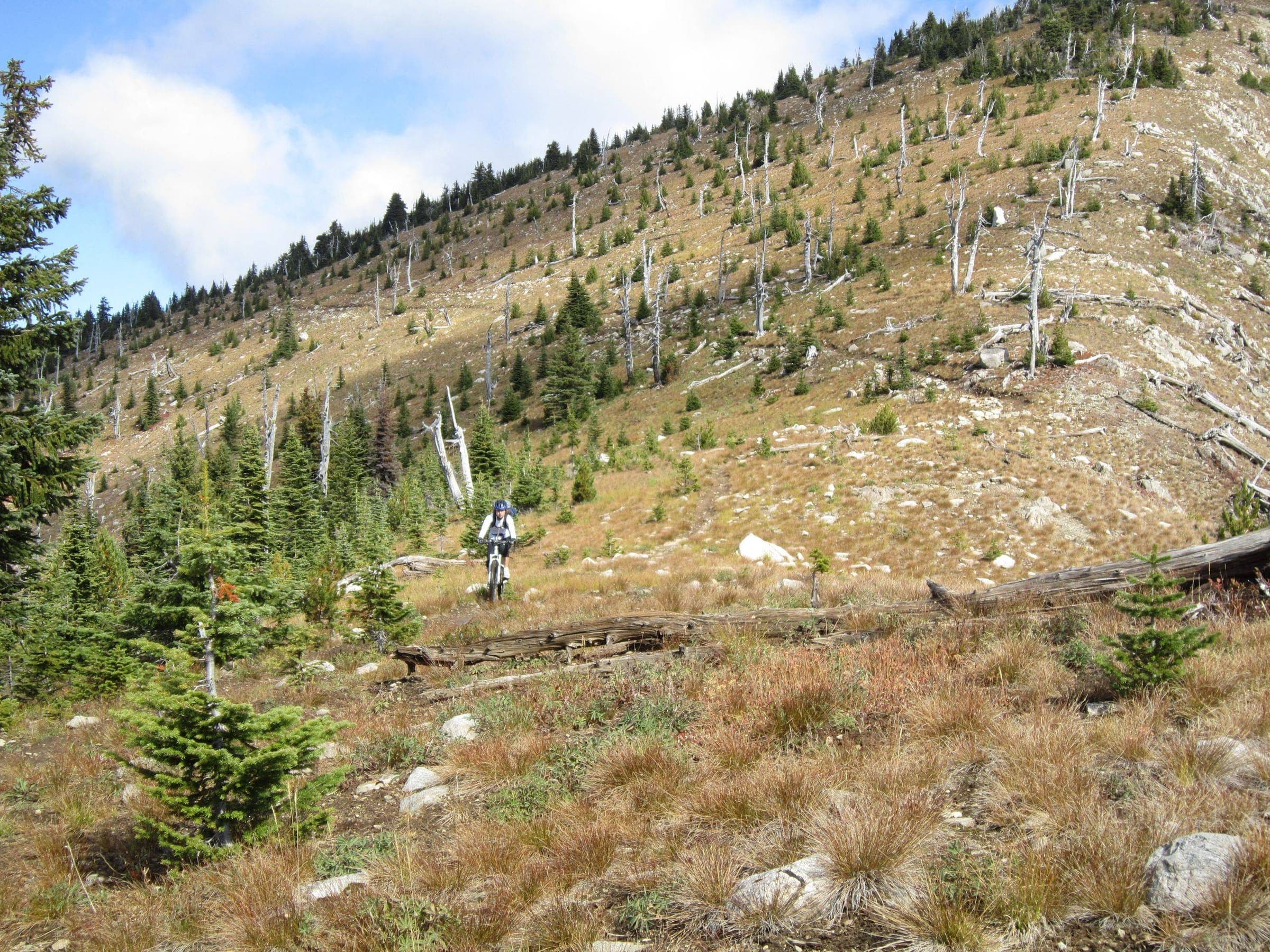 View from the Seven Summits trail near Castlegar